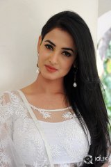 Sonal Chauhan at Legend Movie Press Meet